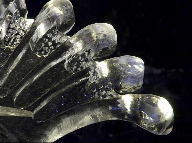 Ice 2006 IMGP8567.jpg